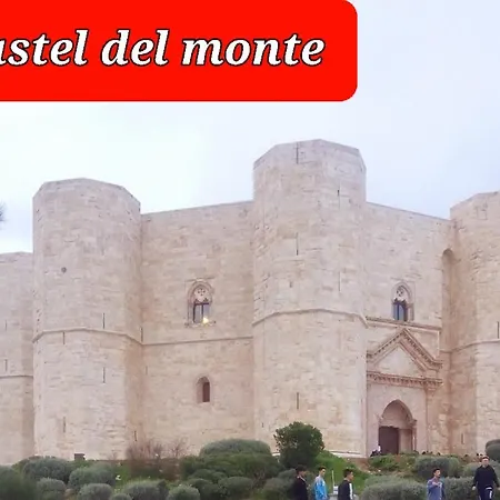 Interno 13 * Spinazzola